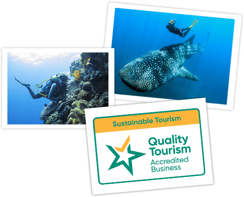 photos-homepage Dive Ningaloo - Tripadvisor Certificate of Excellence