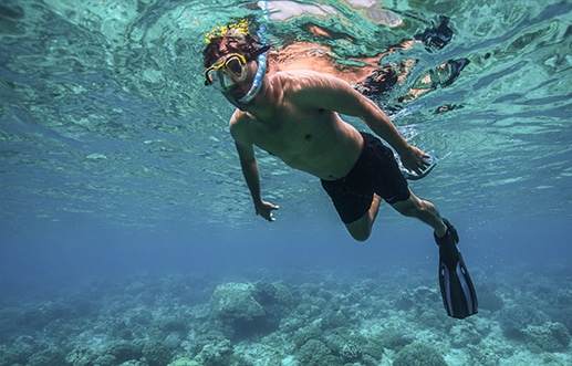 snorkel-click Dive Ningaloo - Snorkel Ningaloo
