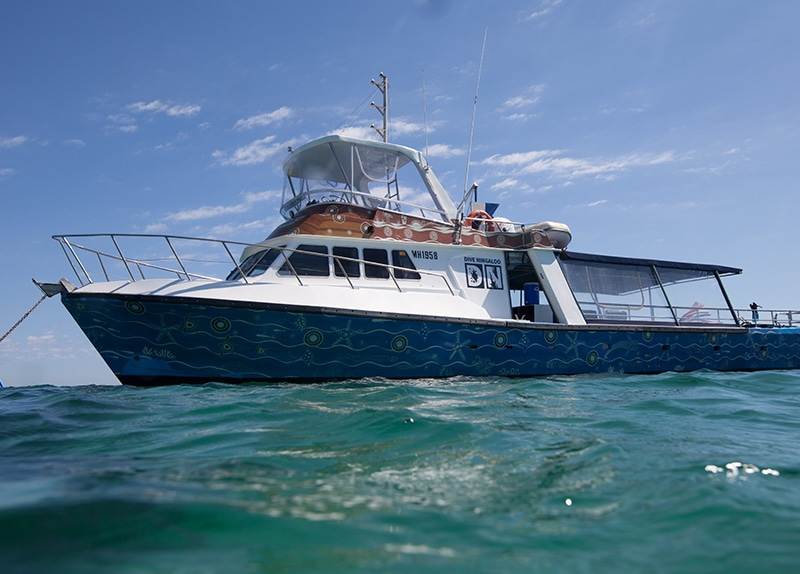 Dive Ningaloo - Fleet