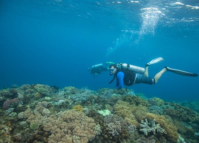 Dive Ningaloo - Open Water