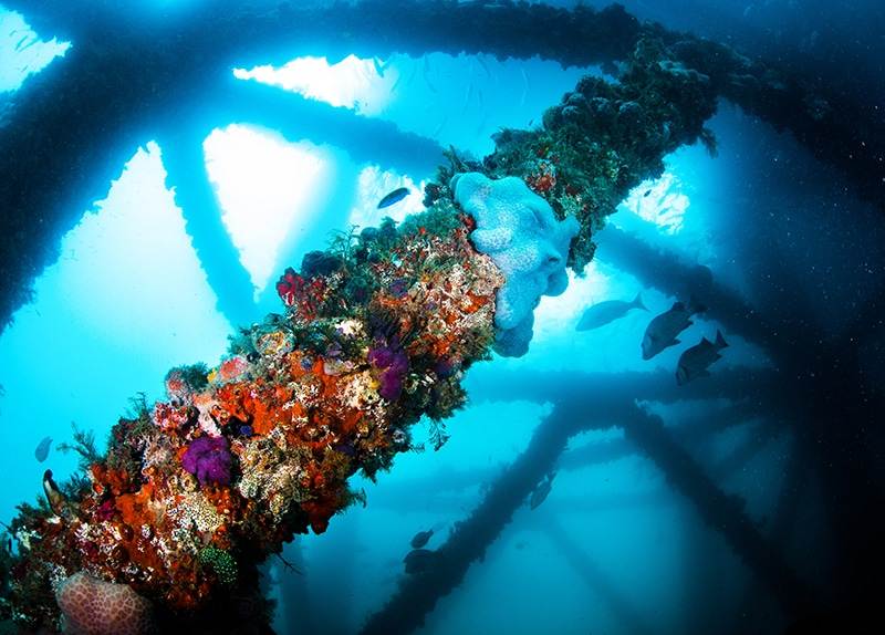 Dive Ningaloo - Exmouth Navy Pier