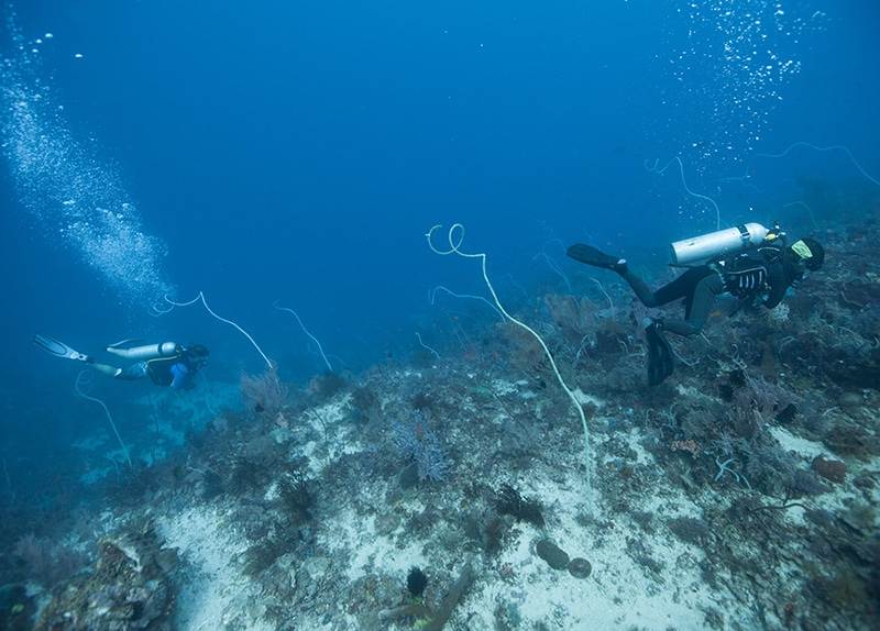 Dive Ningaloo - Specialties