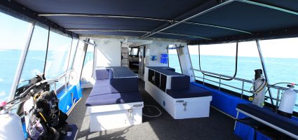 Dive Ningaloo - Ceto Back Deck