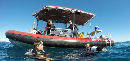 Dive Ningaloo - Sacred Spirit Rib