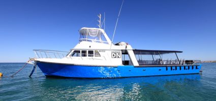 Dive Ningaloo - Ceto Dive Boat