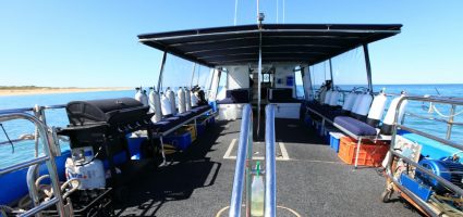 Dive Ningaloo - Back Deck - Ceto Dive Boat