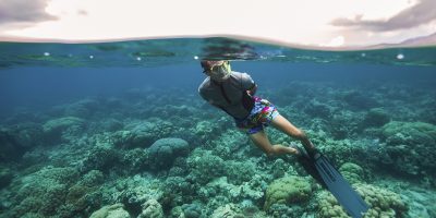Dive Ningaloo - Soft Corals Muiron Islands