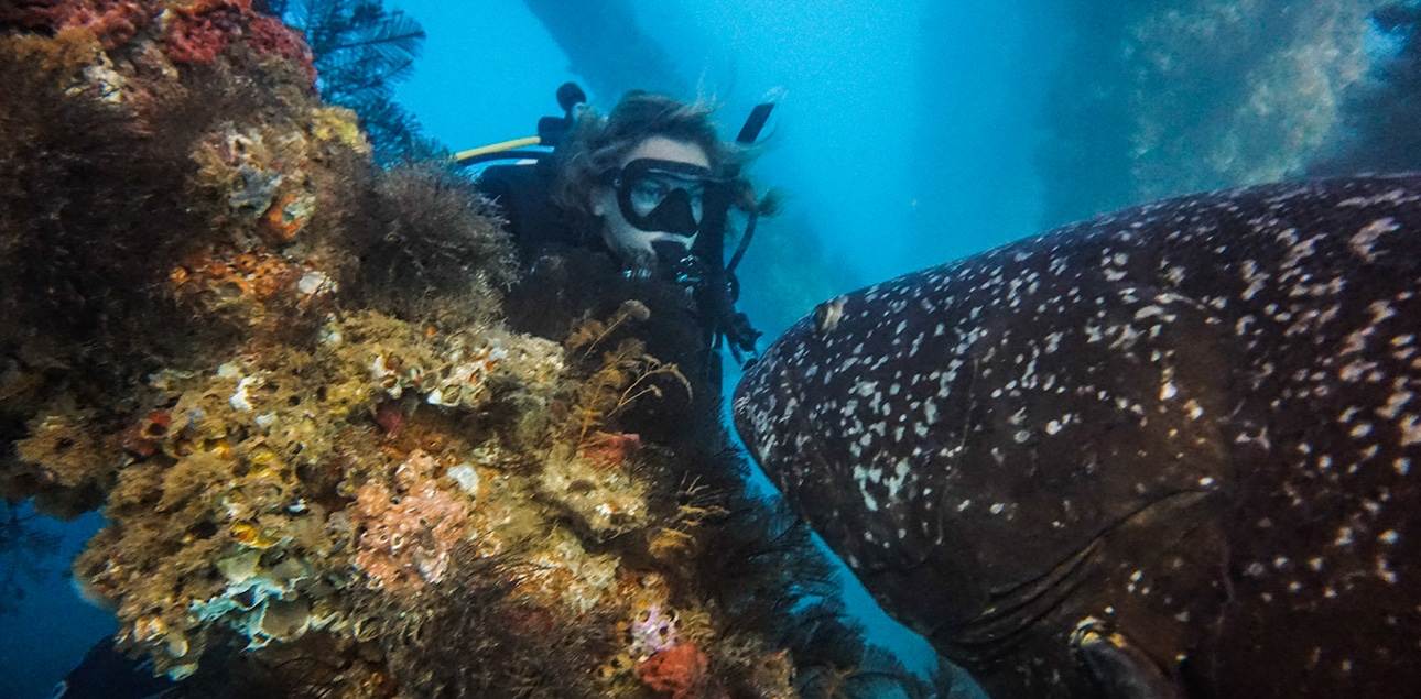 Dive Ningaloo - Exmouth Navy Pier - Kirsten with the Big Friendly Grouper
